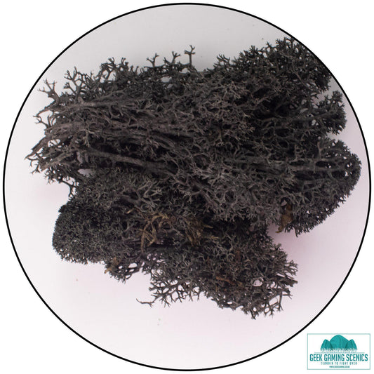 Lichen - Reindeer Moss (Icelandic Moss) Black - Geek Gaming Scenics