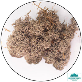Lichen - Reindeer Moss (Icelandic Moss) Brown - Lichen - Geek Gaming Scenics - Geek Gaming Scenics
