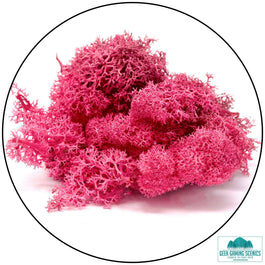 Lichen - Reindeer Moss (Icelandic Moss) Fuchsia - Lichen - Geek Gaming Scenics - Geek Gaming Scenics