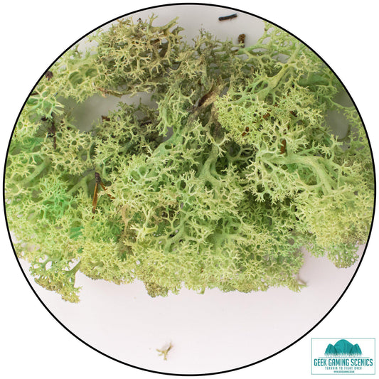Lichen - Reindeer Moss (Icelandic Moss) Mint Green - Geek Gaming Scenics