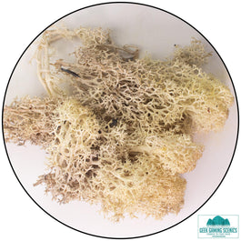 Lichen - Reindeer Moss (Icelandic Moss) Misty White - Lichen - Geek Gaming Scenics - Geek Gaming Scenics