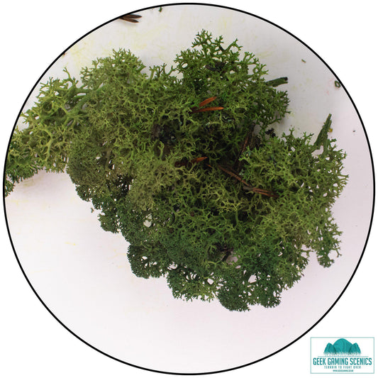 Lichen - Reindeer Moss (Icelandic Moss) Moss Green - Geek Gaming Scenics