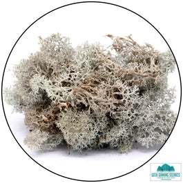 Lichen - Reindeer Moss (Icelandic Moss) Natural - Lichen - Geek Gaming Scenics - Geek Gaming Scenics