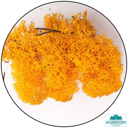 Lichen - Reindeer Moss (Icelandic Moss) Orange - Lichen - Geek Gaming Scenics - Geek Gaming Scenics