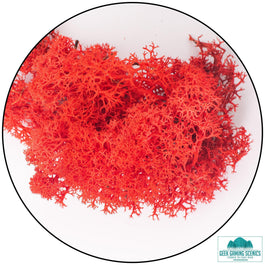 Lichen - Reindeer Moss (Icelandic Moss) Red - Lichen - Geek Gaming Scenics - Geek Gaming Scenics