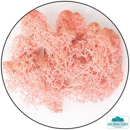 Lichen - Reindeer Moss (Icelandic Moss) Rose - Lichen - Geek Gaming Scenics - Geek Gaming Scenics