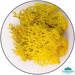 Lichen - Reindeer Moss (Icelandic Moss) Yellow - Lichen - Geek Gaming Scenics - Geek Gaming Scenics
