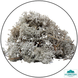Lichen - Reindeer Moss (Icelandic Moss) Light Grey - Lichen - Geek Gaming Scenics - Geek Gaming Scenics